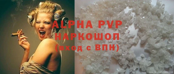 шишки Карпинск