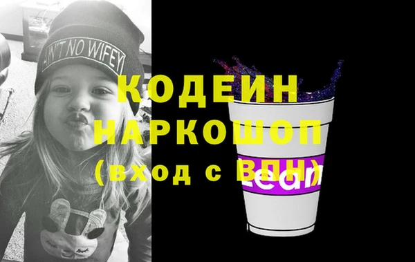 шишки Карпинск