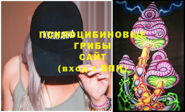 PSILOCYBIN Киреевск