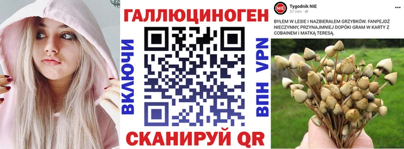 Псилоцибиновые грибы Psilocybine cubensis  где продают   Конаково 